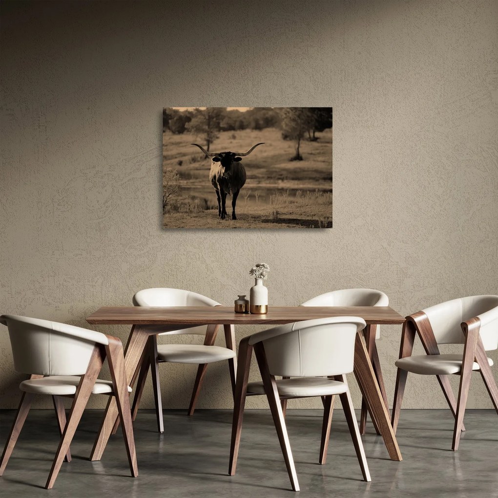 Üveg kép - Texasi tehén (70x50 cm)