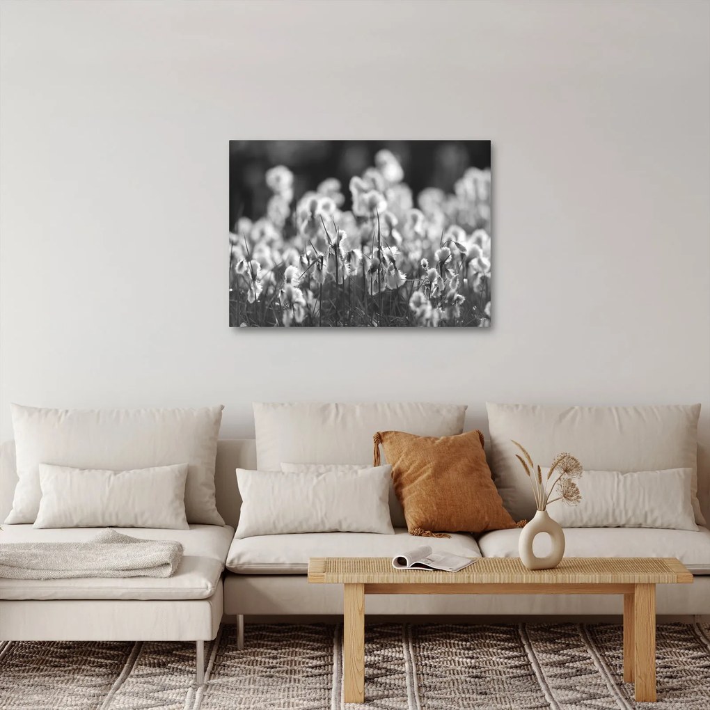 Kép - Nyári rét (70x50 cm)