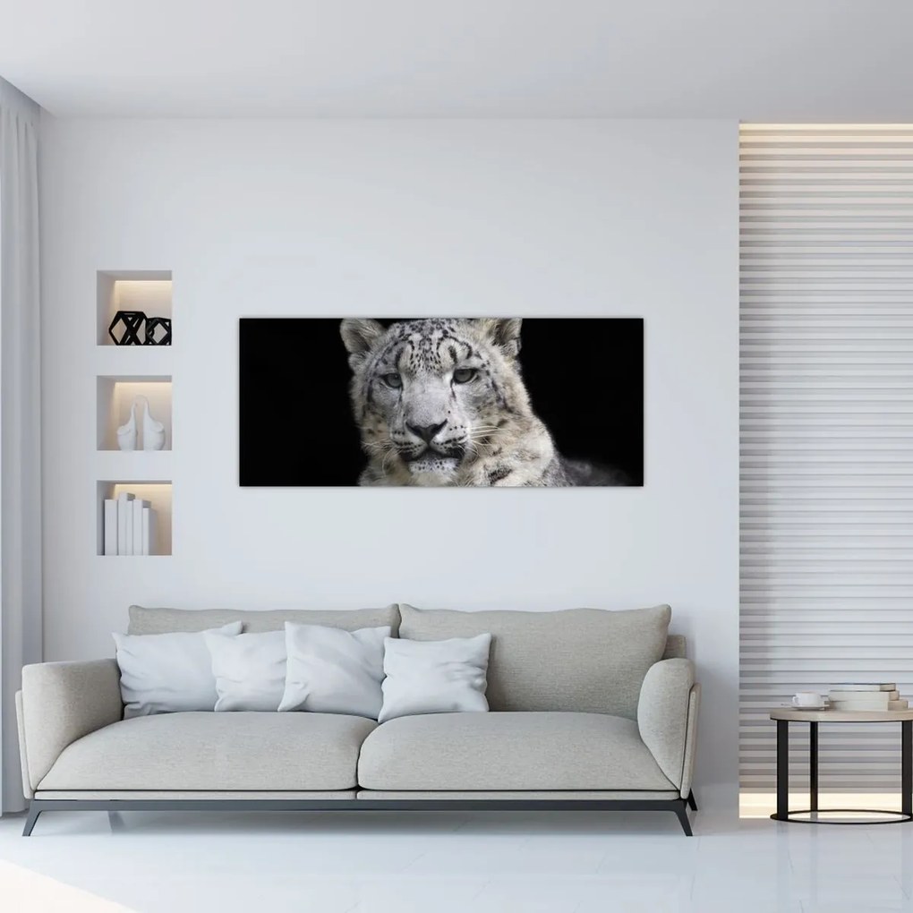 Kép - Snow Leopard (120x50 cm)