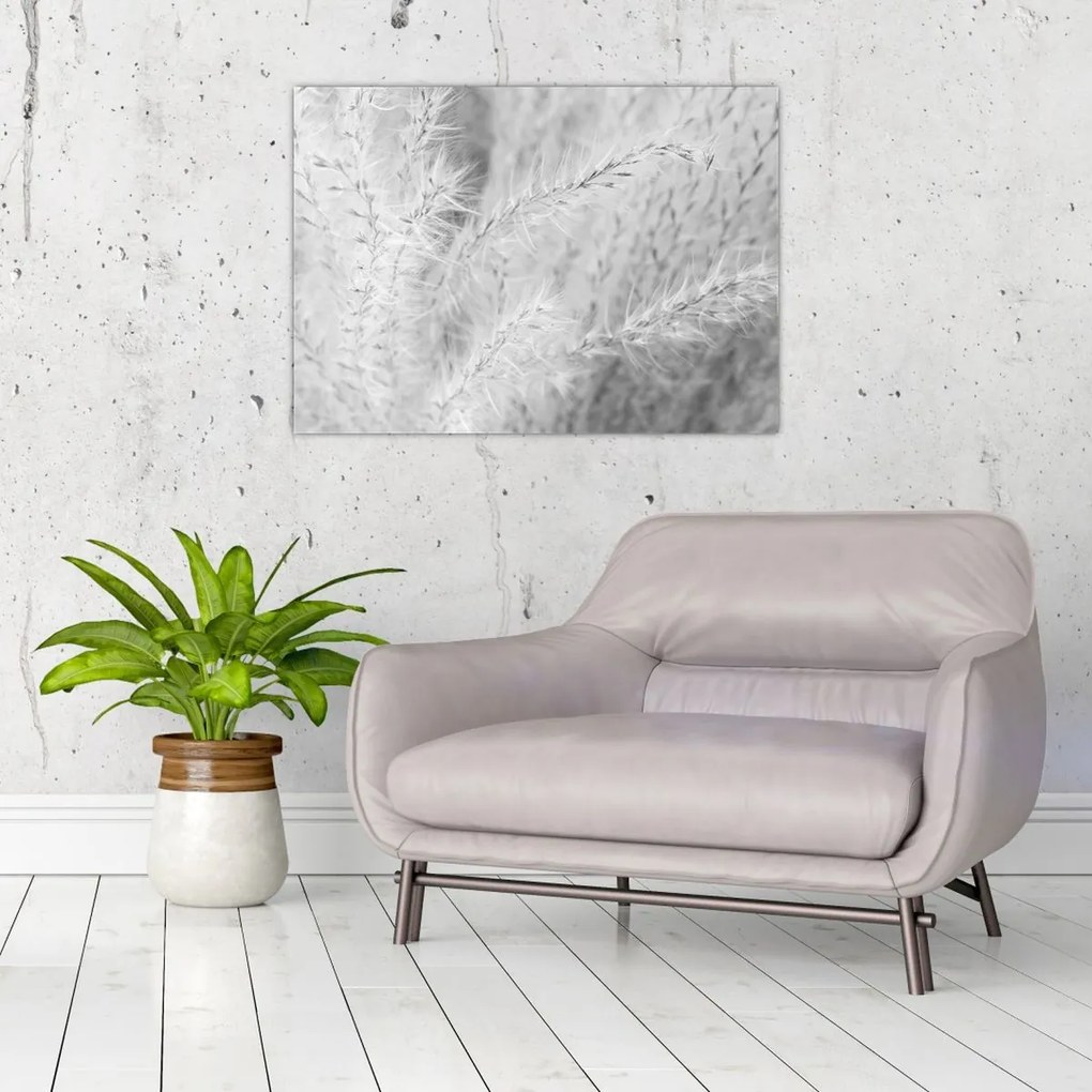 Üveg kép - Pampafű N⁰1 (70x50 cm)