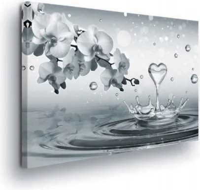 Vászonkép 60x40 Víz Fröccsenő szív Orchidea Tisztaság Finomság Természet Nyugalom