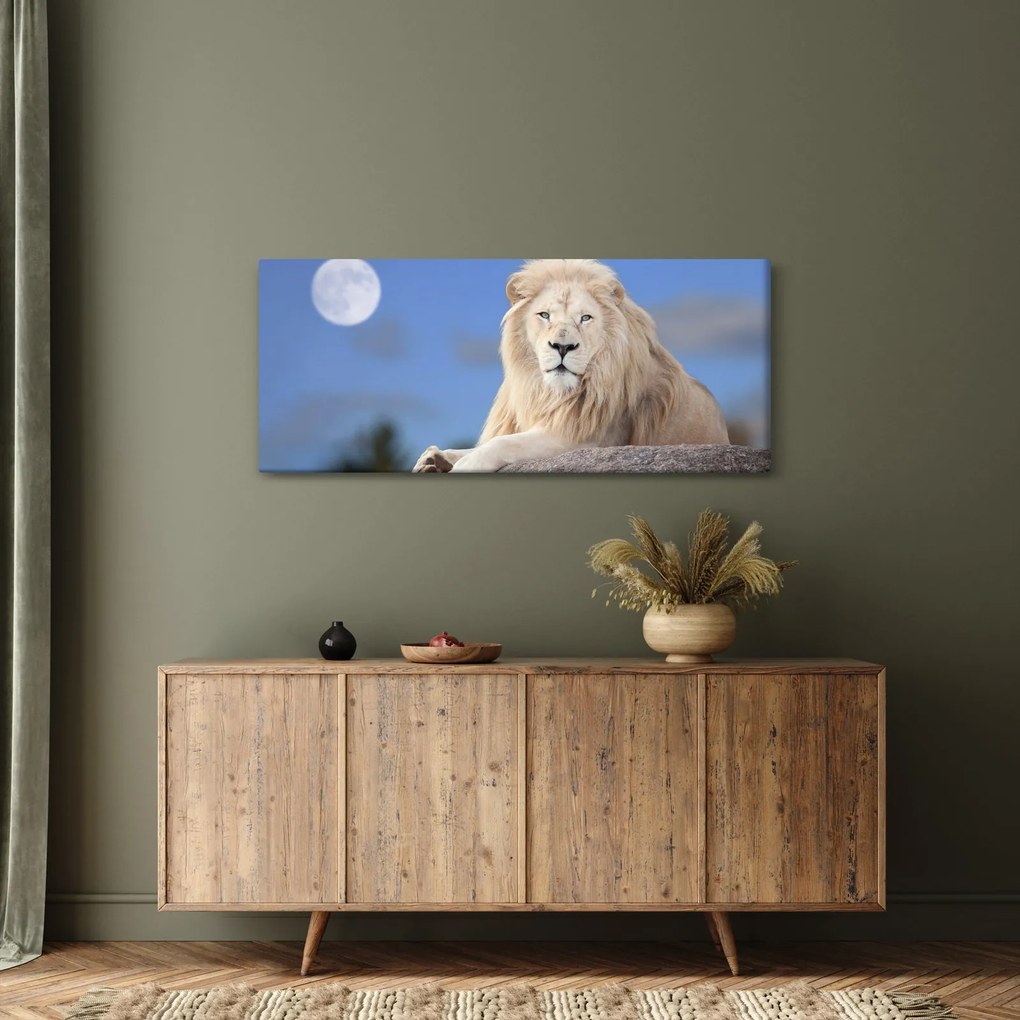 Kép - Fehér oroszlán (120x50 cm)