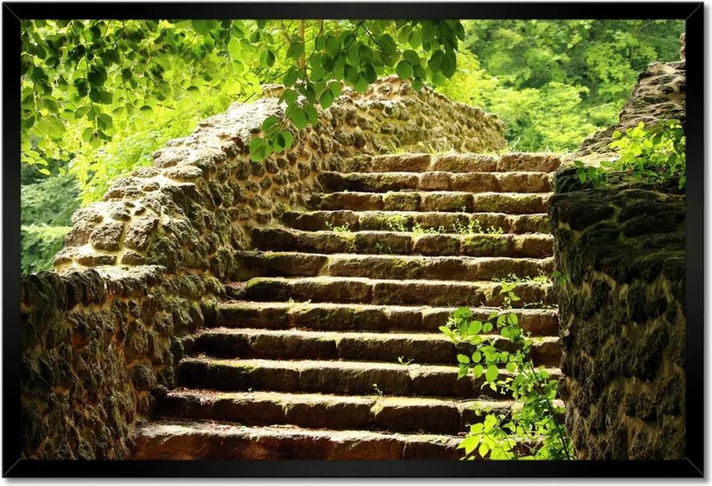 Poszterek keretben 60x40 Lépcsők az erdőbe Kő