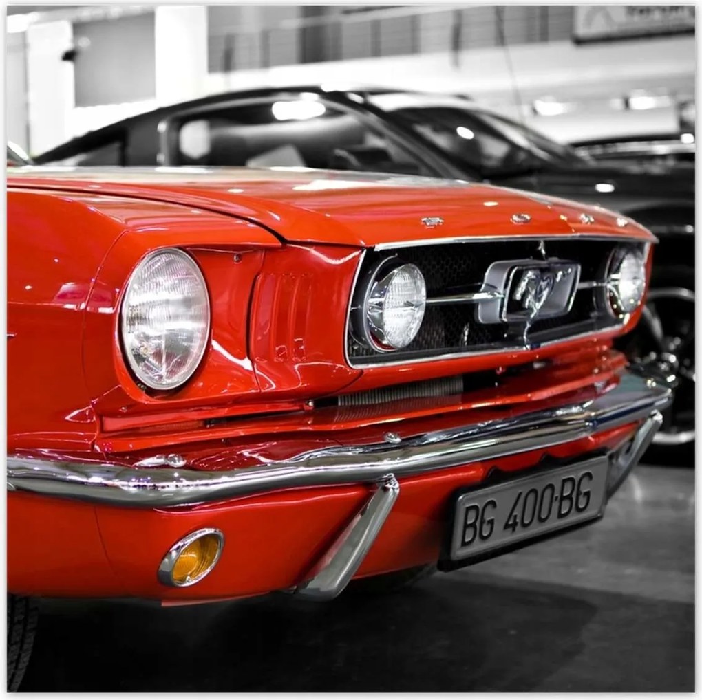 Poszterek 100x100 Piros Mustang