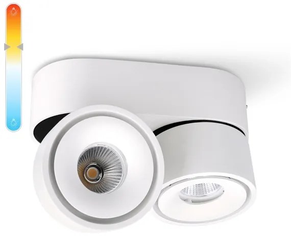 LED Dimmelhető spotlámpa LAHTI MINI 2xLED/9W/230V 3000K CRI 90 fehér
