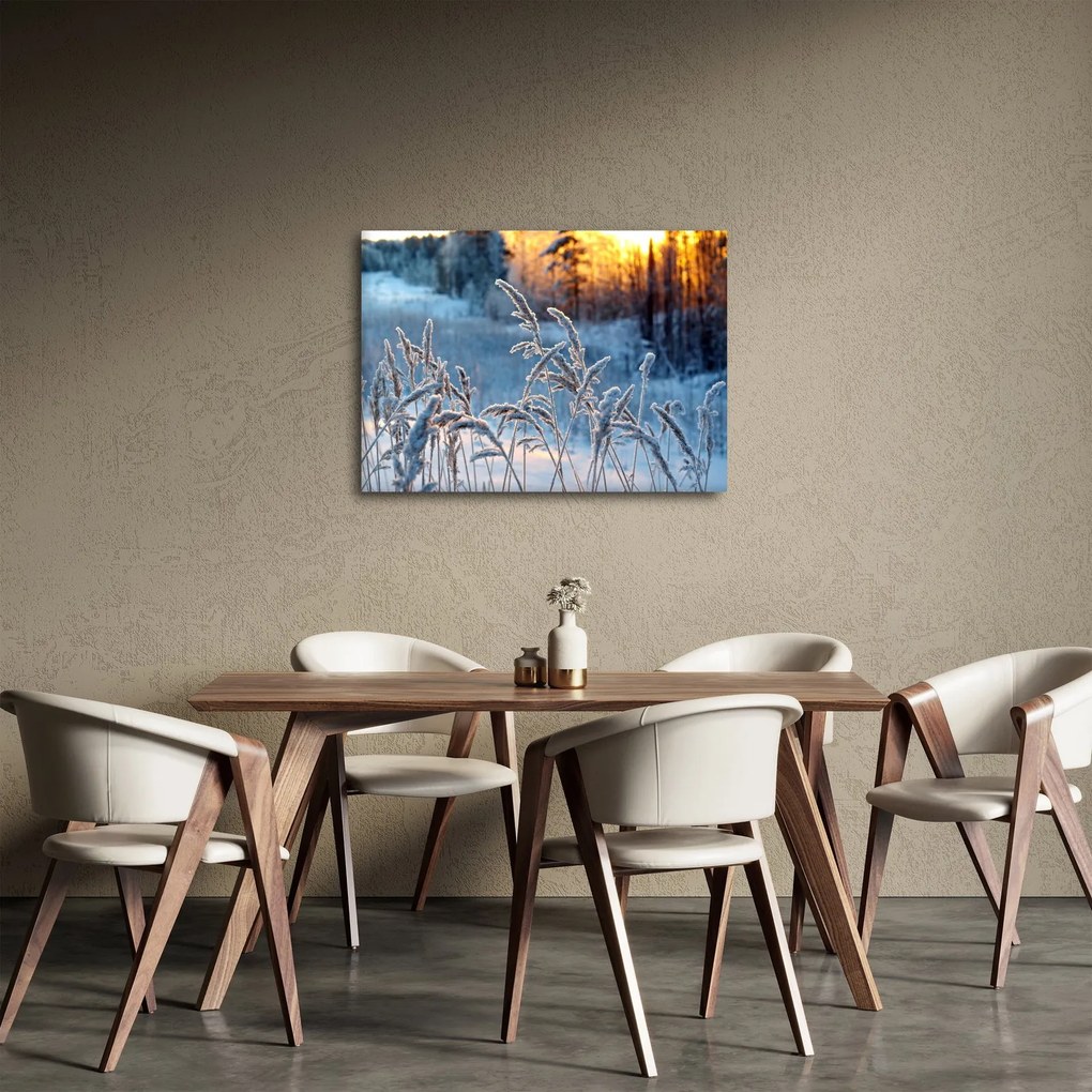 Kép - Téli rét (70x50 cm)