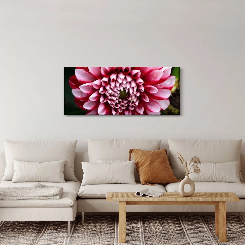 Rózsaszín dália képe (120x50 cm)