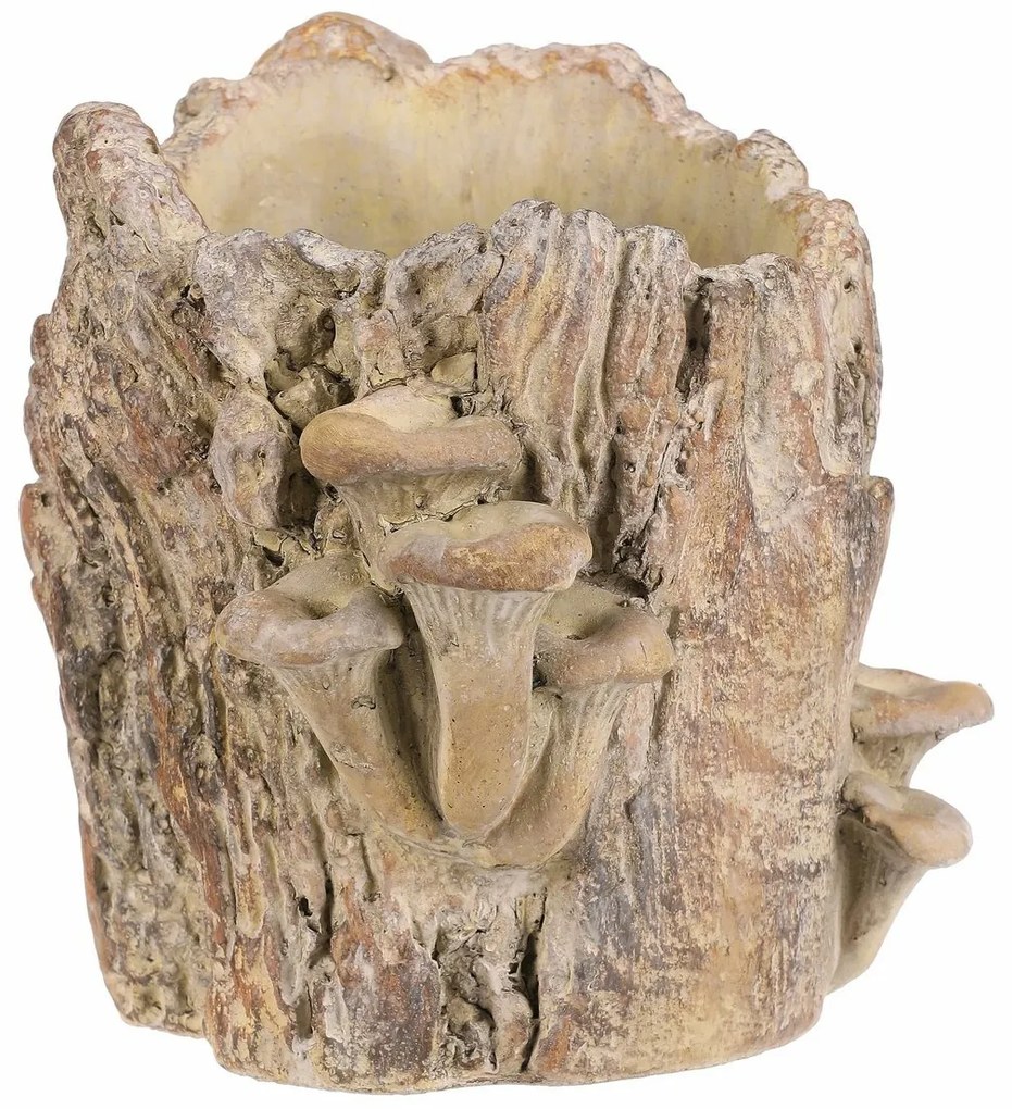 Beton burkolat - tusk with mushrooms, 20 x 18 x 18cm