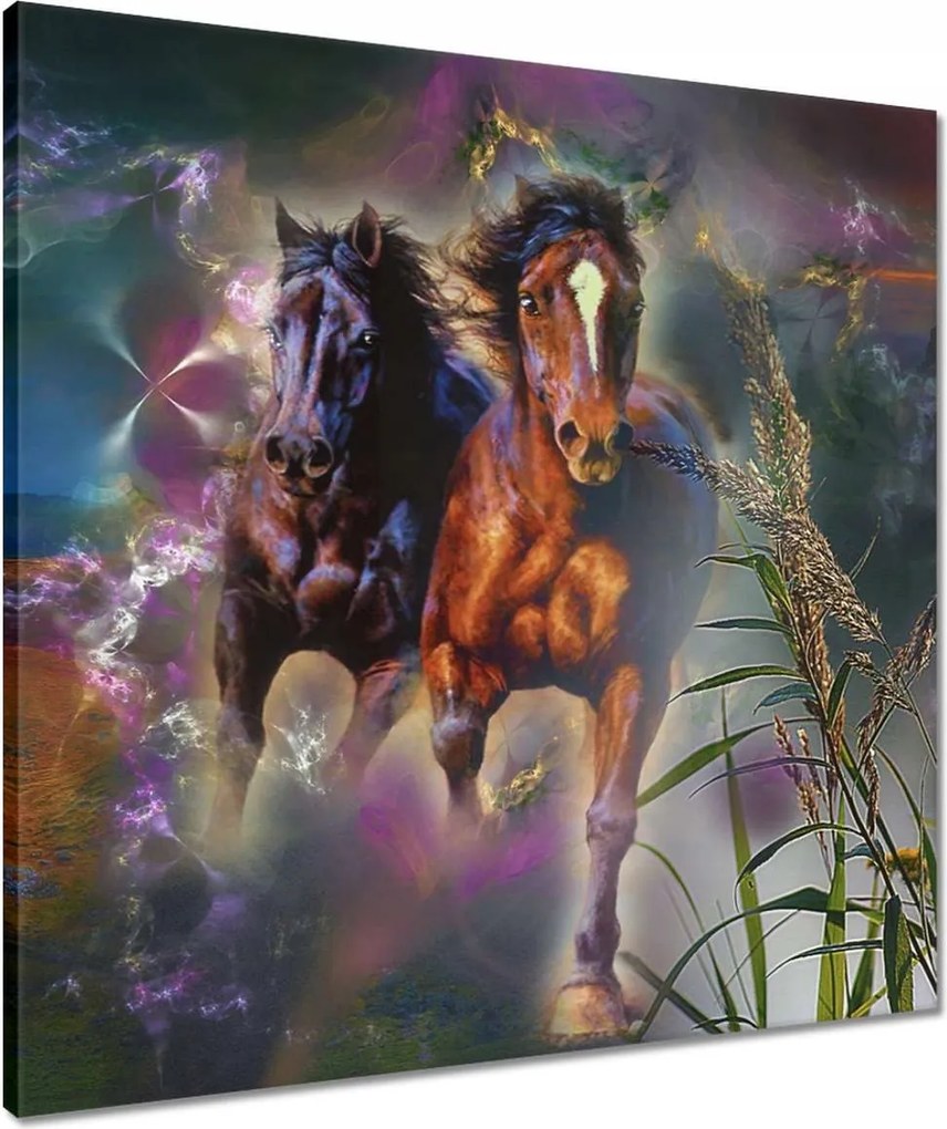 Vászonkép 60x60 Galoppozó lovak Ló