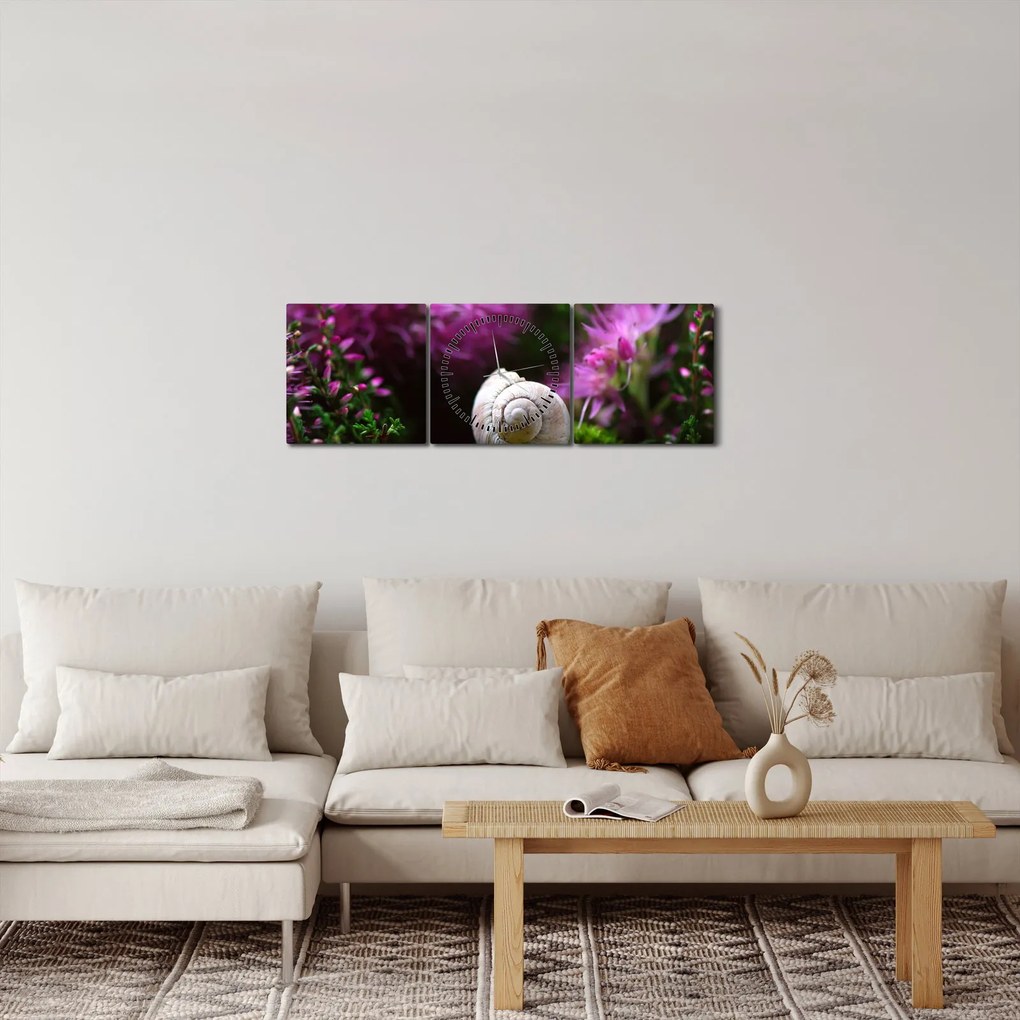 Kép - Csigaház (órával) (90x30 cm)