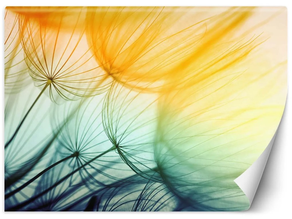 Gario Fotótapéta Színes pitypang Anyag: Vlies, Méret: 350 x 245 cm