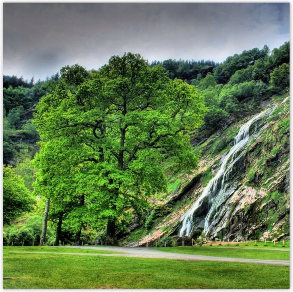 Poszterek 100x100 Powerscourt vízesés