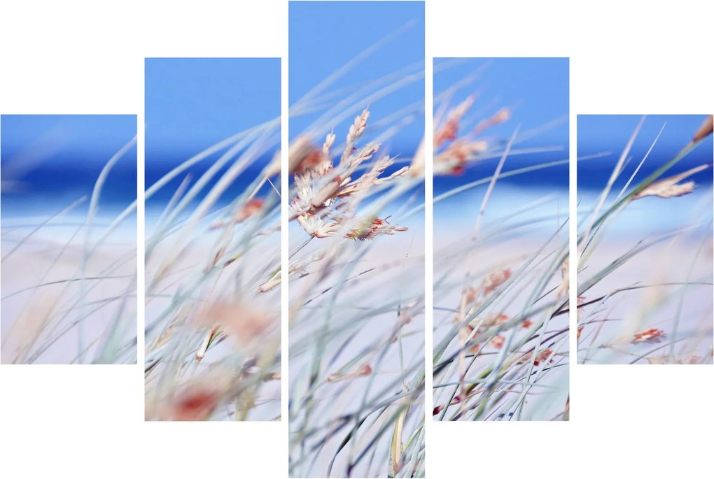 Kép - Szellő (150x105 cm)