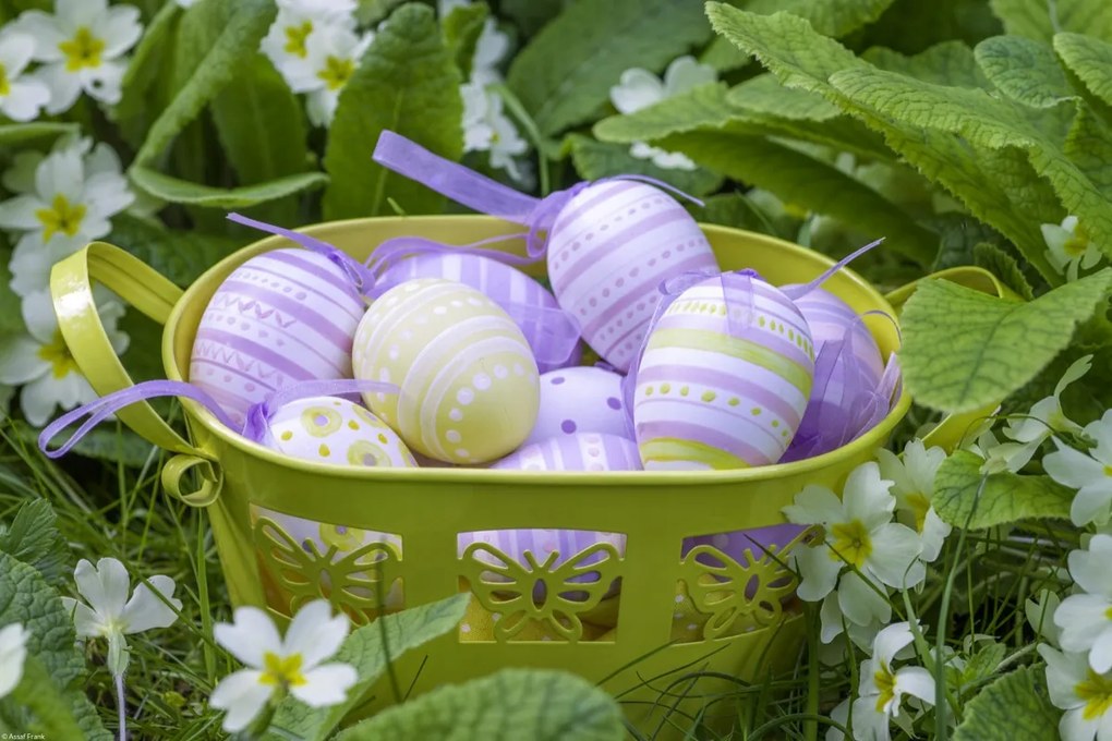 Poszter 45x30cm Húsvéti tojások kosárban 4, Assaf Frank
