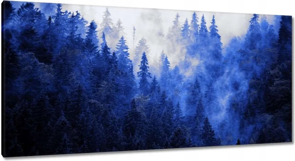 Vászonkép 115x55 Kék táj Hegyek