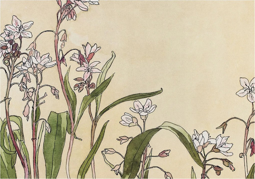 Stílusos Dekoratív fotótapéta Flizelin Virágos elegancia 208x146