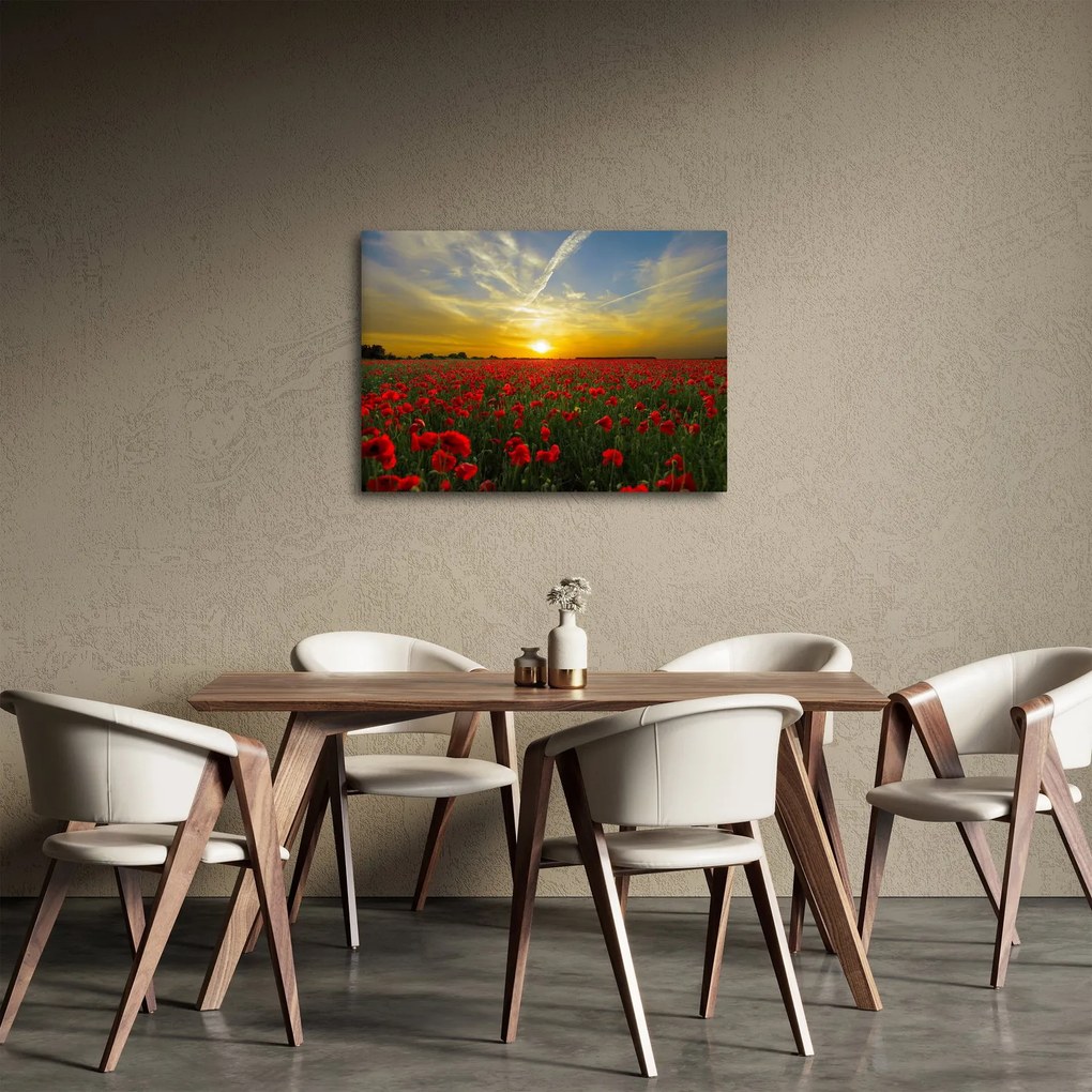 Egy kép a pipacs mezőről (70x50 cm)