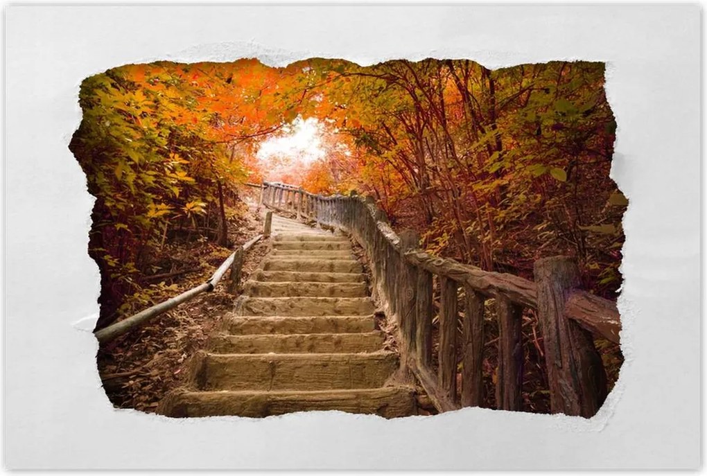 Poszterek 90x60 Őszi séta Lépcsők