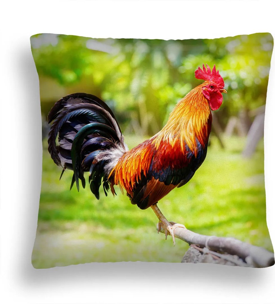 Párna Zw 14 Kakas Lengyel Falu 50x50 Pl