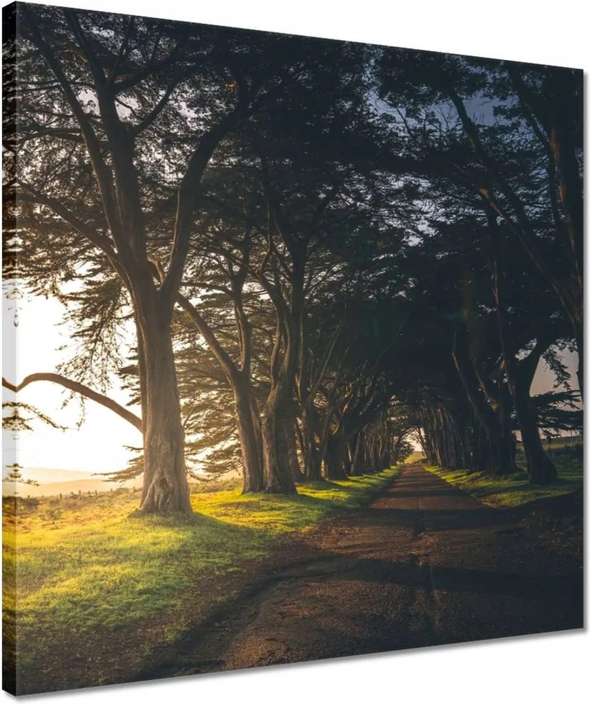 Vászonkép 40x40 Tájkép Látvány