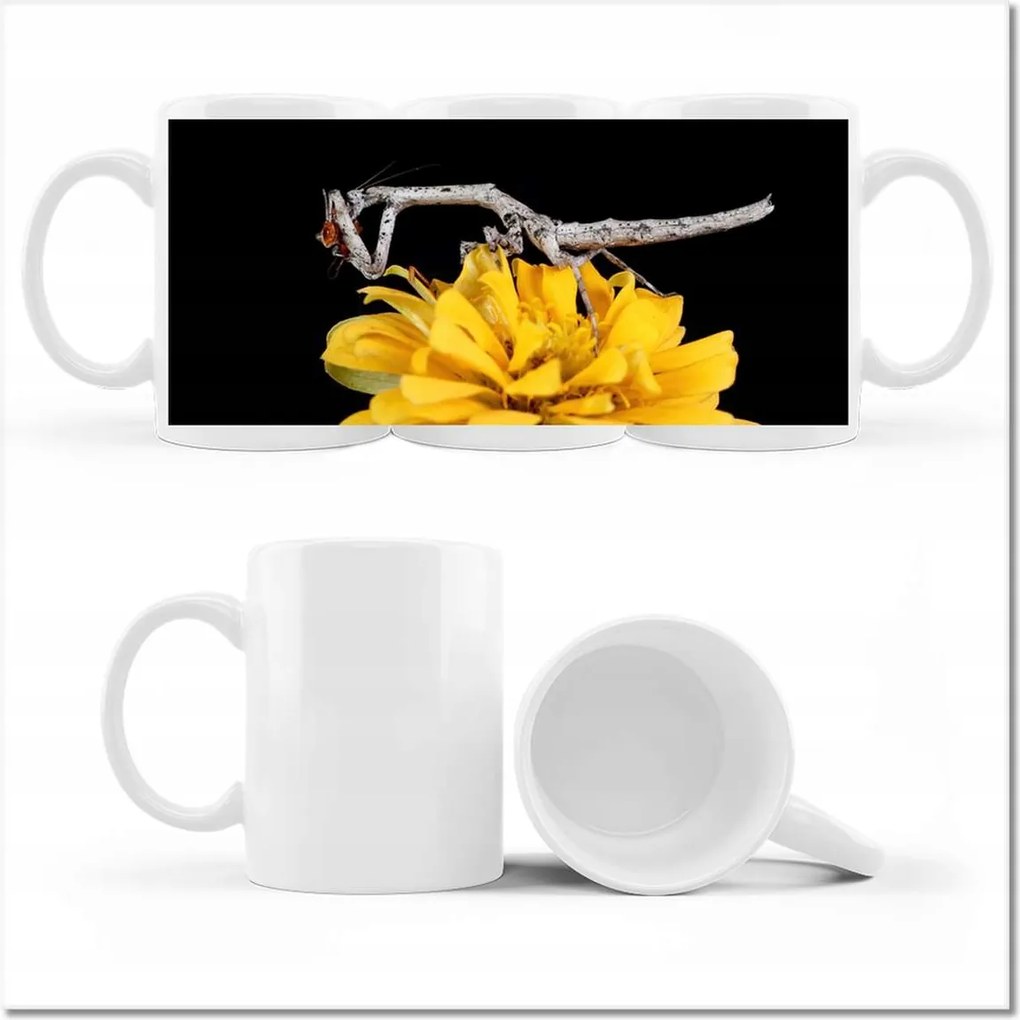 Fotó bögre Sáska popa spurca