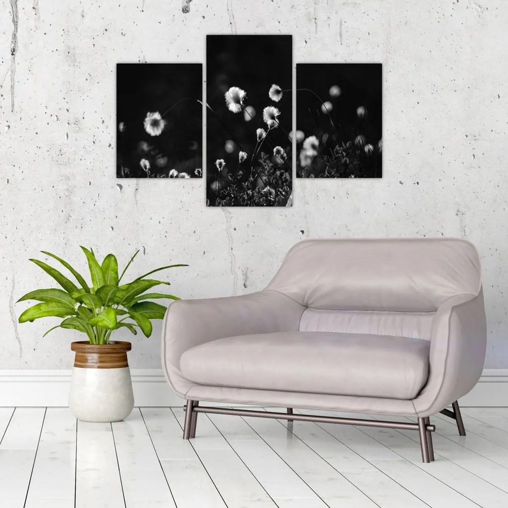 Kép - Gyapotfűvel borított rét N⁰1 (90x60 cm)