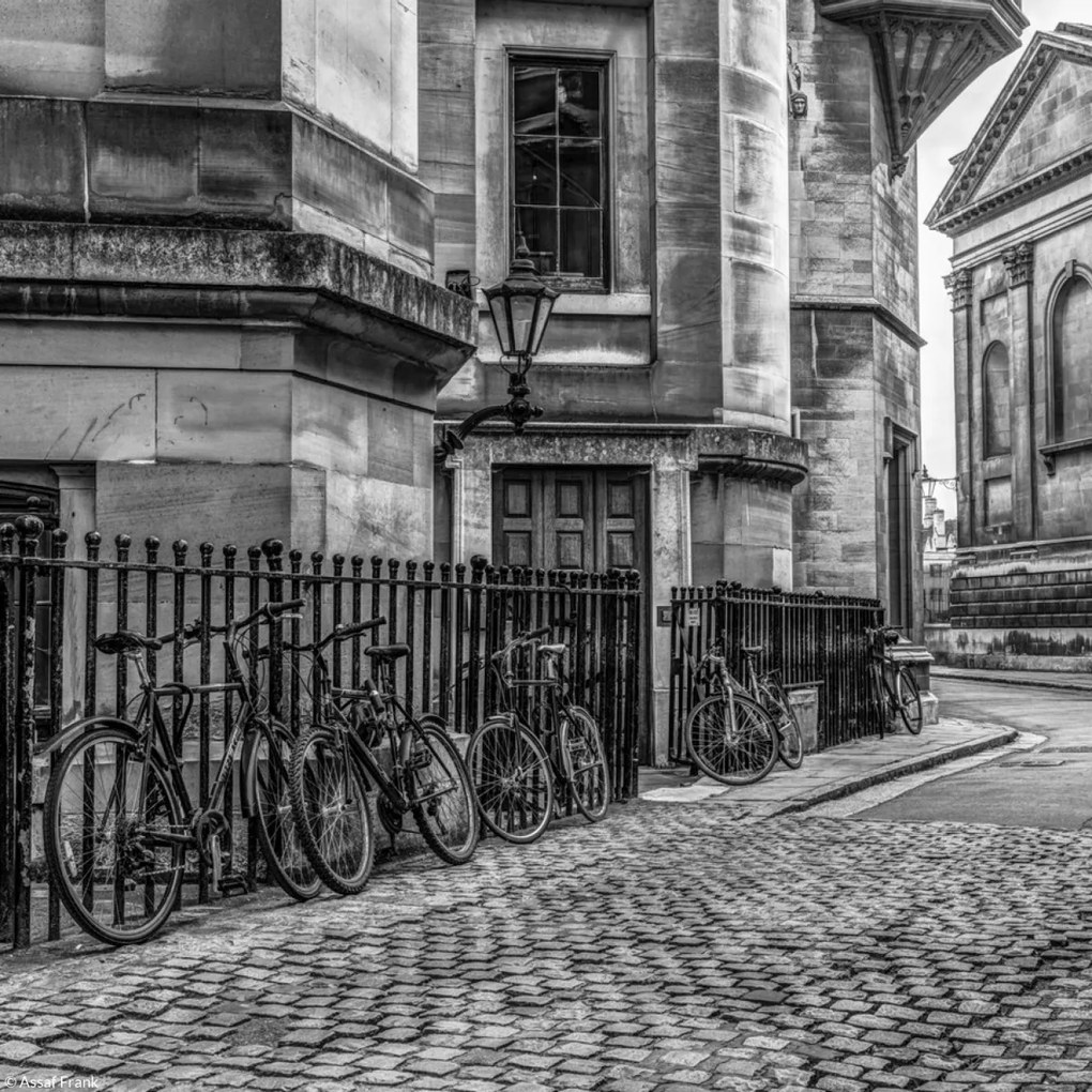 Poszter 20x20cm Kerékpárok a járdán, Assaf Frank