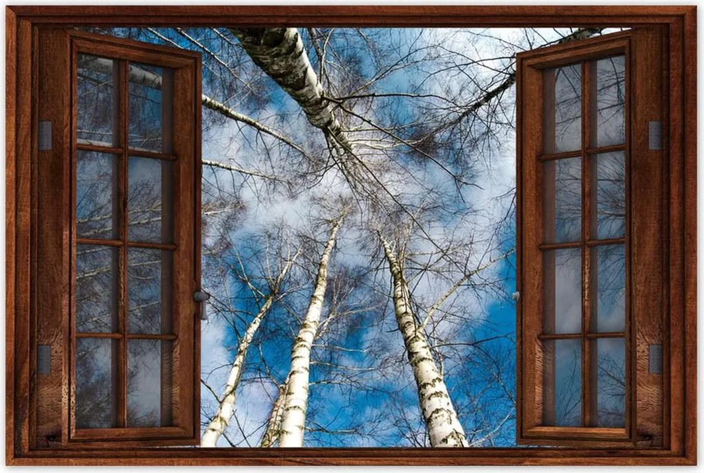 Poszterek 90x60 Nyírfa