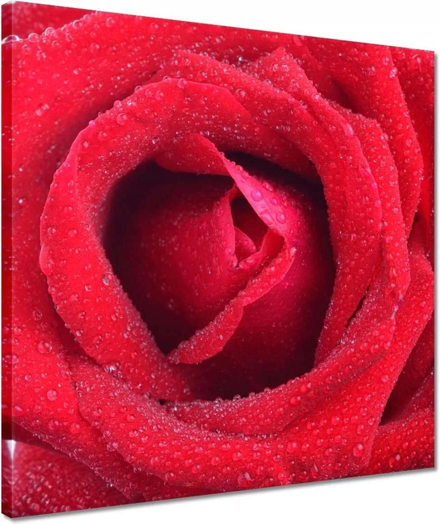 Vászonkép 40x40 Nőnap Ajándék Love