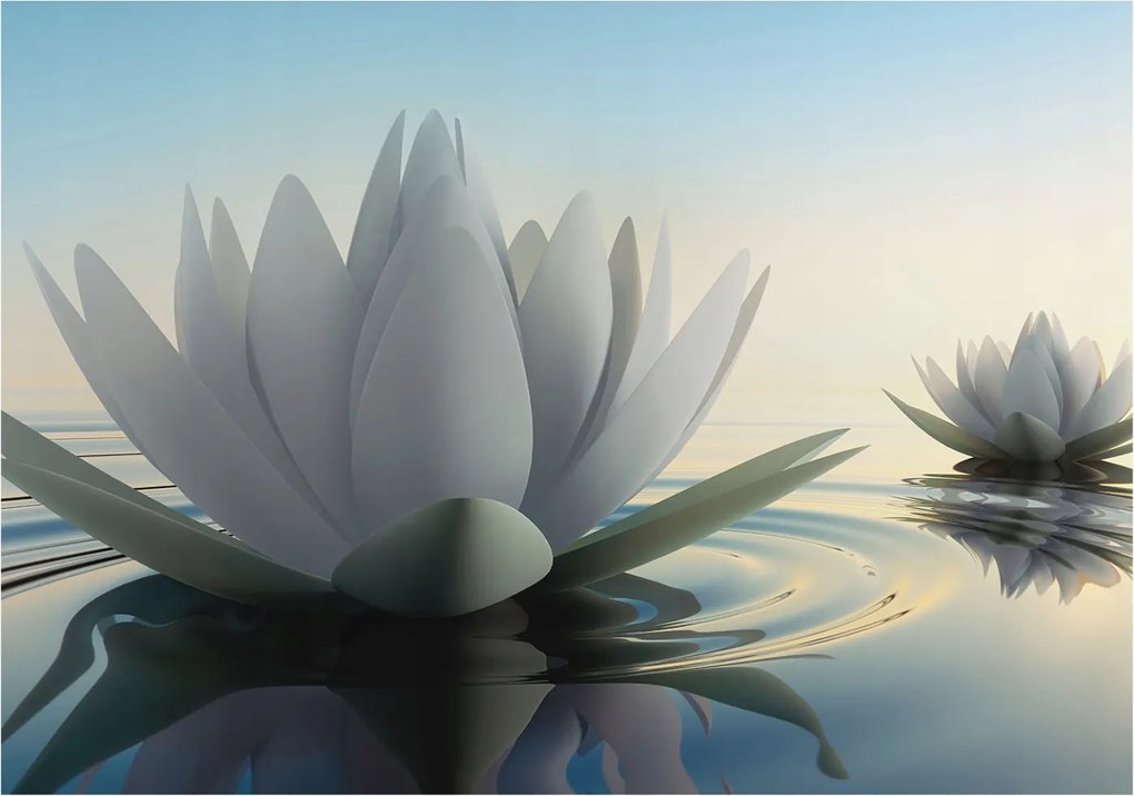 Fotótapéta Flizelina Nappali és Hálószoba Irodába Vízi liliomok 208x146 Ragasztó