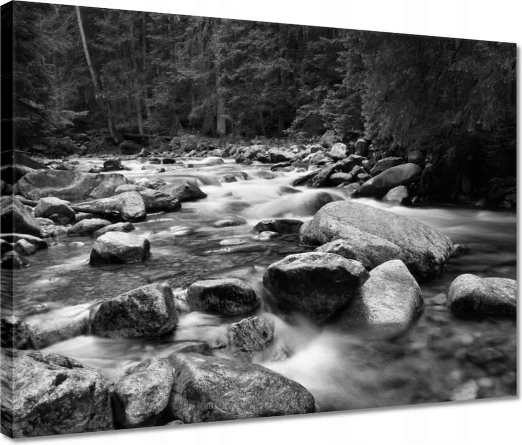 Vászonkép 40x30 Tátra Lengyel hegyek Kilátás