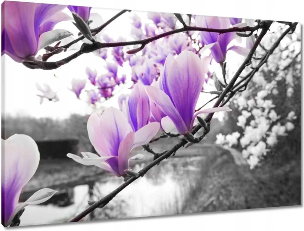 Vászonkép 90x60 Magnólia Virágok