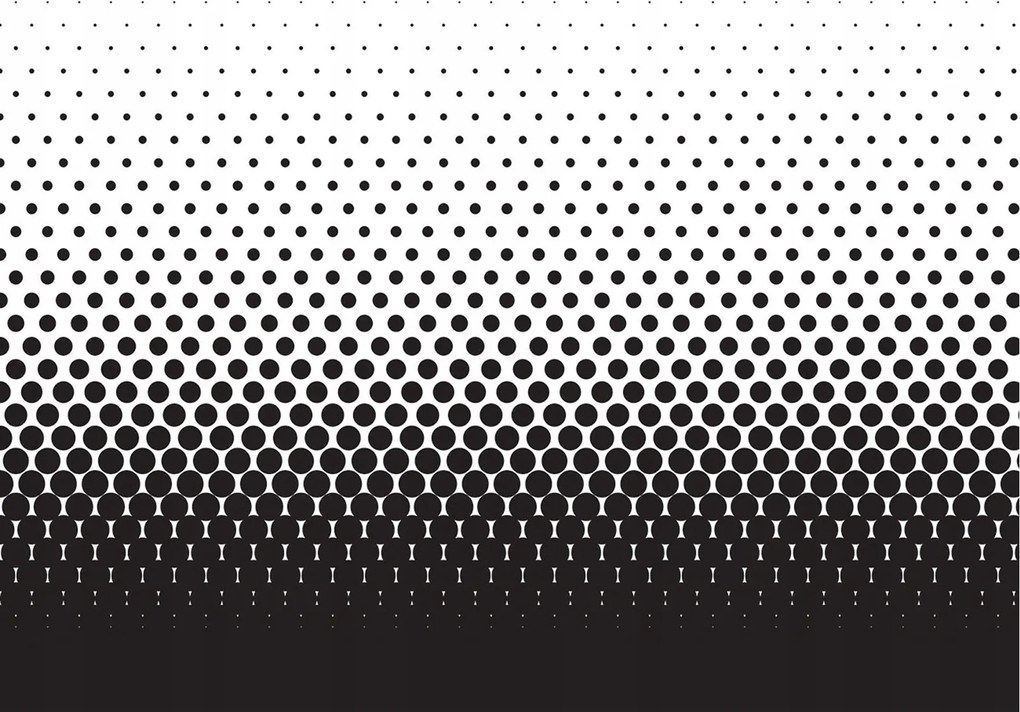 Fotótapéta Fekete pöttyök minimalizmus modern fali dekoráció 254x184 +ragasztó