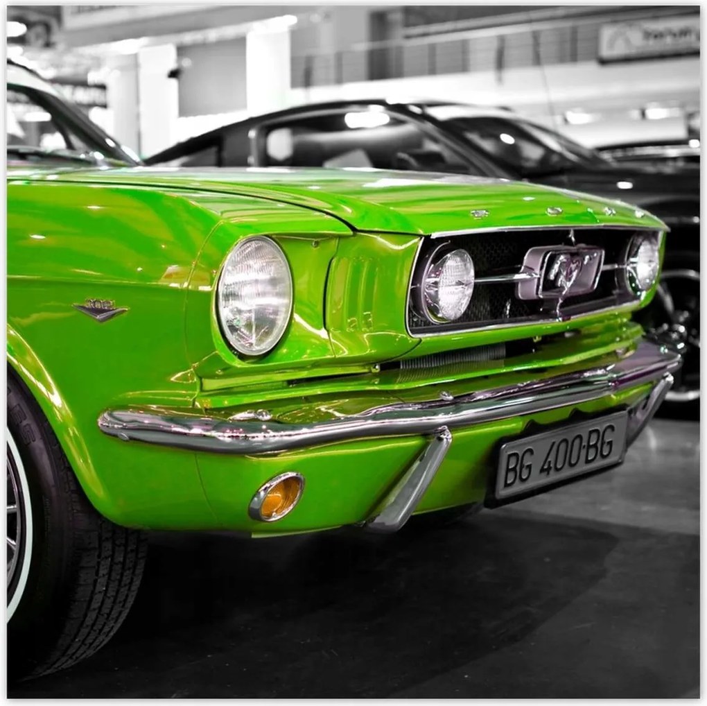 Poszterek 100x100 Lime klasszikus Ford