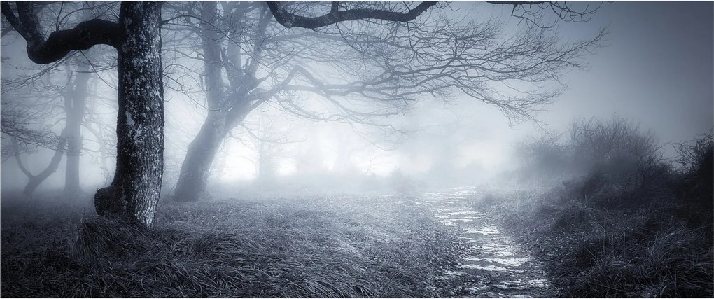 Kép - Út a ködben (120x50 cm)