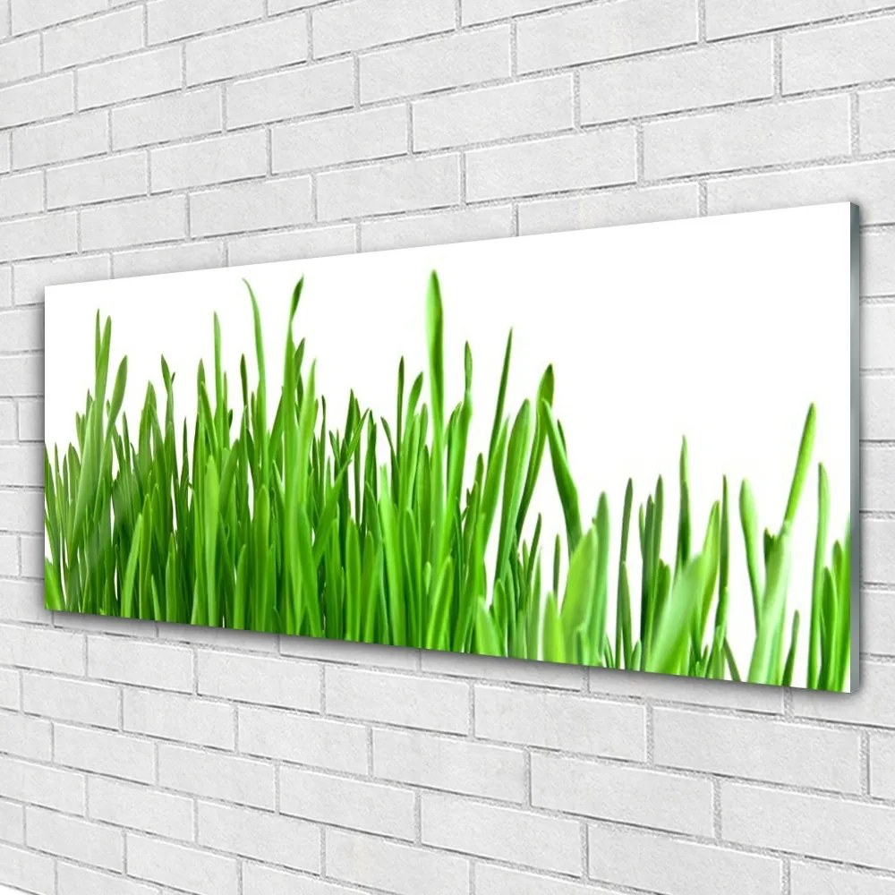 Üvegkép Grass Nature Plant 120x60cm