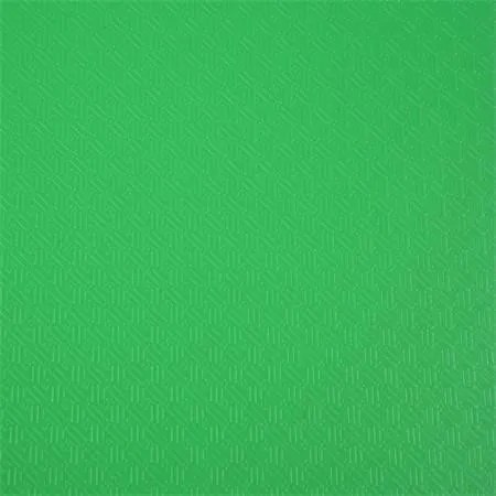 Bemutatómappa, 30 zsebes, A4, EXACOMPTA Opak, zöld (EX8833E)