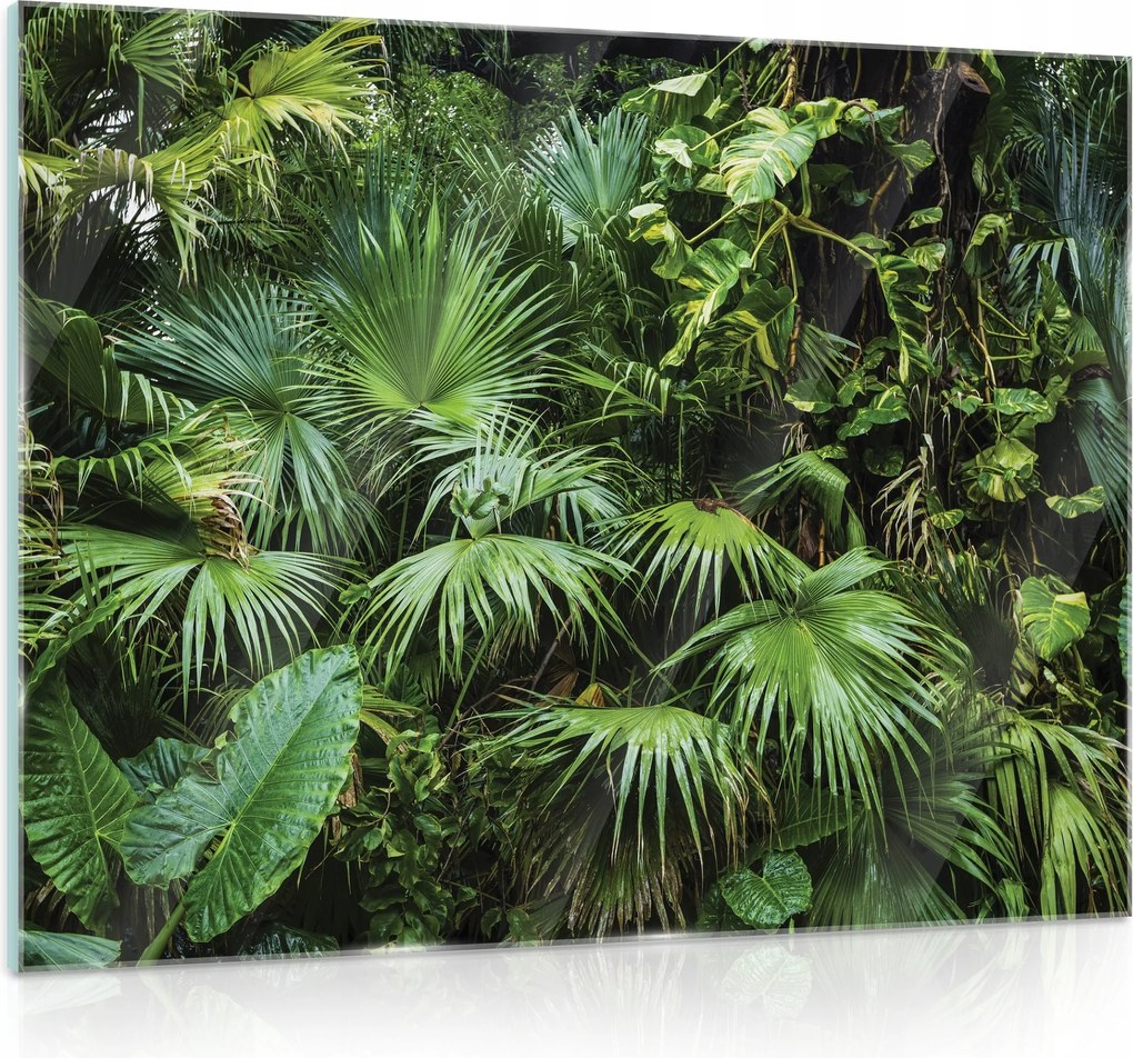 Üvegfestmény Fürdőszobába Dzsungel 80x60