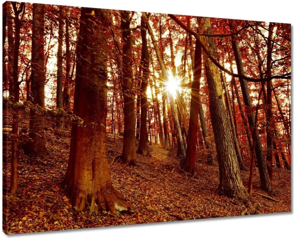 Vászonkép 70x50 Tájkép Látvány