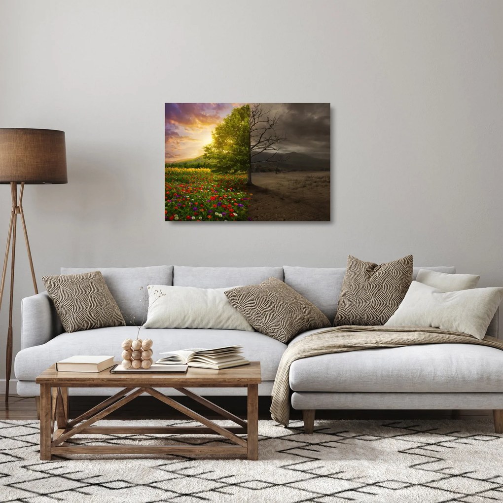 Kép - Életciklus (üvegen) (70x50 cm)