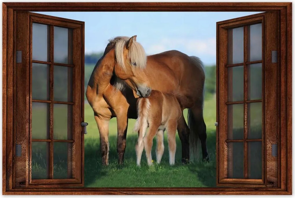 Poszter 60x40 Kanca és csikó