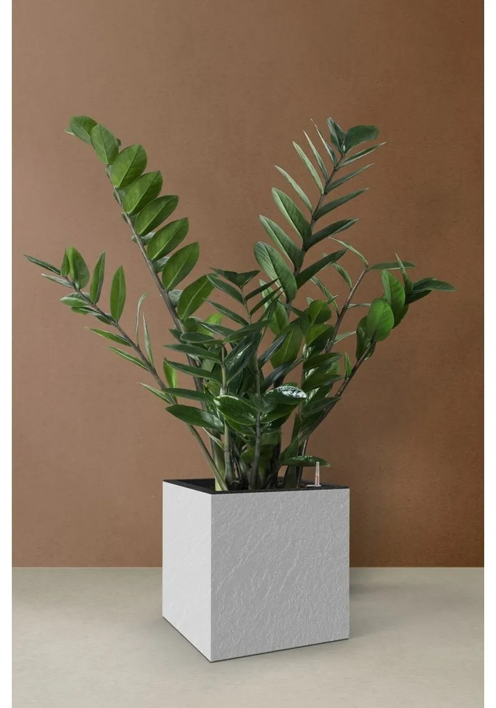 Flower Lover Cubico Stone önöntöző virágtartó fehér, 27 cm, 27 cm