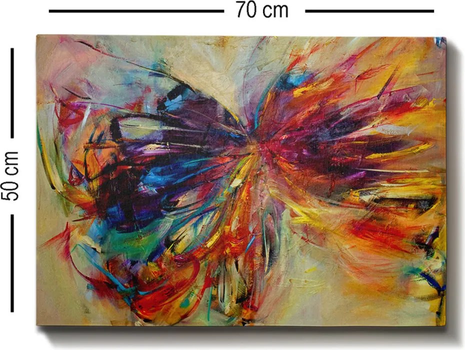 Kanvas vászonkép, 50×70 cm – TR529TCR1369