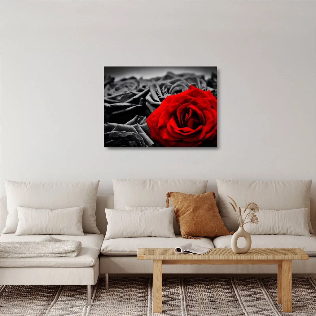 Kép - Rózsa virágok (üvegen) (70x50 cm)