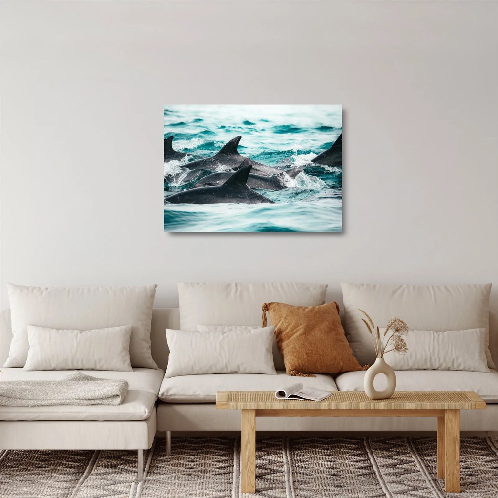 Kép - Delfinek az óceánban (üvegen) (70x50 cm)