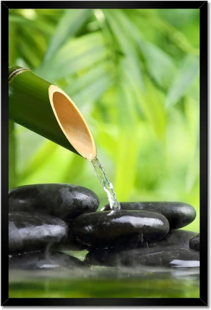 Poszterek keretben 40x60 Sanus per aquam Forrás