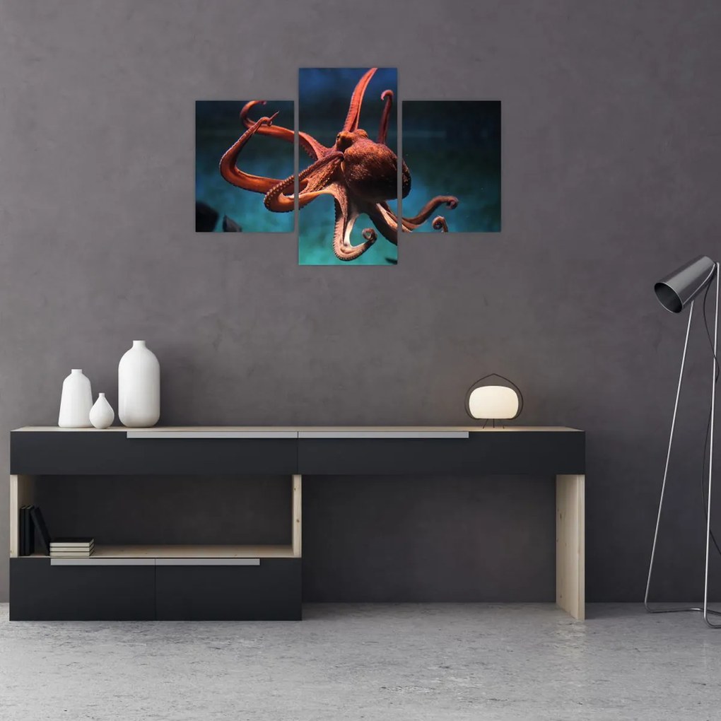 Kép - Octopus (90x60 cm)