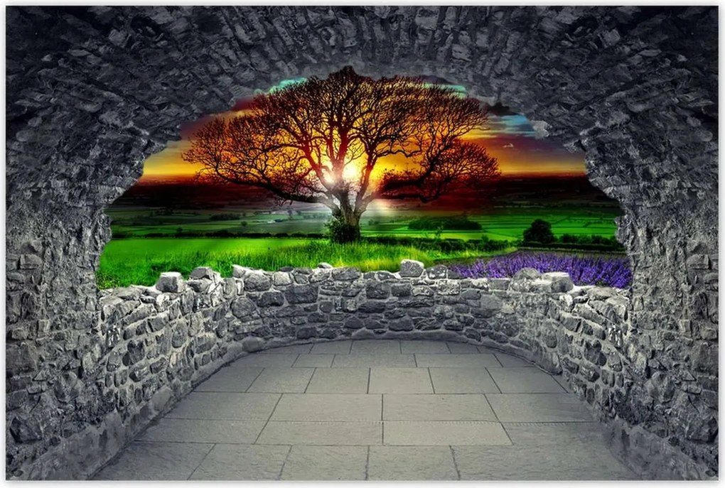 Poszterek 90x60 Az élet fája