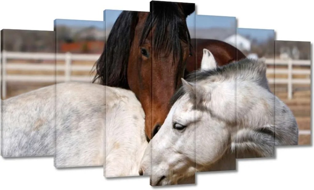 Festmények 140x80 Lovak