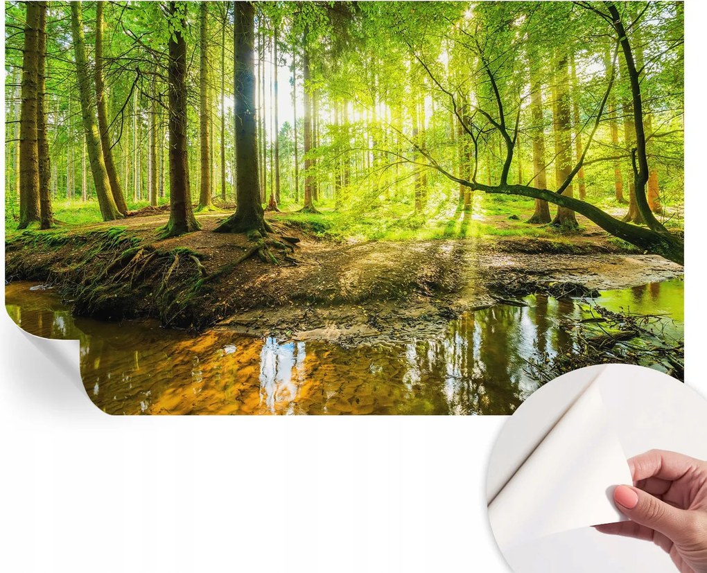 Öntapadós Mosható Fali Fotótapéta Zöld táj 416x254 cm